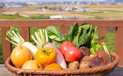 道の駅 うきは 部長ギフト （新鮮な農産物・特産品 約2kg） 野菜 ベジタブル 果物 くだもの フルーツ 農産物 特産品 特産 新鮮 フレッシュ 朝採れ 詰め合わせ 詰合せ セット ミックス お取り寄せ 福岡県 うきは市