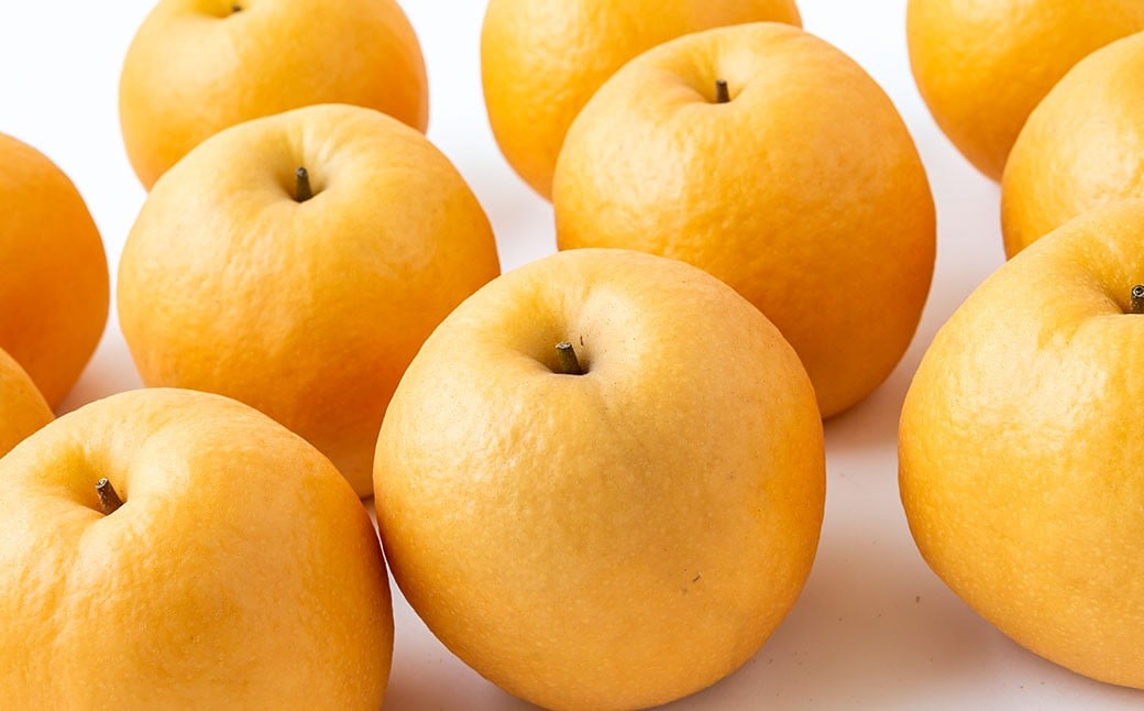 ãå
è¡äºçŽã 梚ã®å±±èæ¢šå æ°è梚 5çãã7çïŒçŽ2.5kgïŒã2026幎10æäžæ¬ã11æäžæ¬çºéäºå®ã 梚 ãªã ãã· æç© ãã ãã® ãã«ãŒã æå® ææ± 5ç 7ç