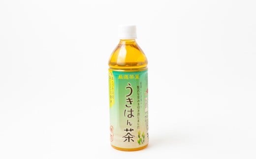 JAにじ うきはん茶 500ml×24本