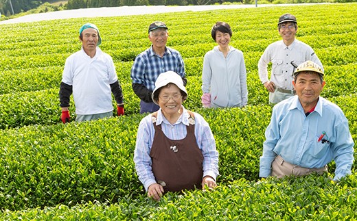 うきは和一園 お茶詰合せ3袋 (特上煎茶・高級上煎茶・上煎茶) 各85g入り