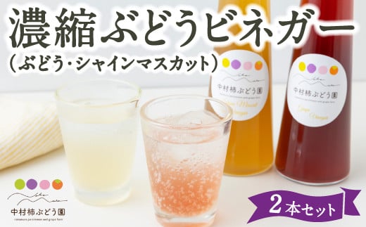 中村柿ぶどう園 濃縮ぶどうビネガー2本セット(ぶどう・シャインマスカット) 各300ml フルーツビネガー 果実酢 フルーツ酢