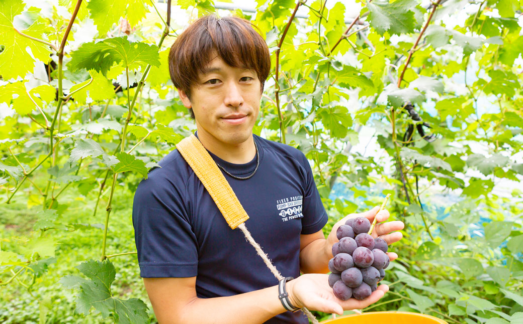 中村柿ぶどう園 濃縮ぶどうビネガー2本セット(ぶどう・シャインマスカット) 各300ml フルーツビネガー 果実酢 フルーツ酢 お酢 酢 ビネガー 濃縮タイプ 飲料 福岡県 うきは市