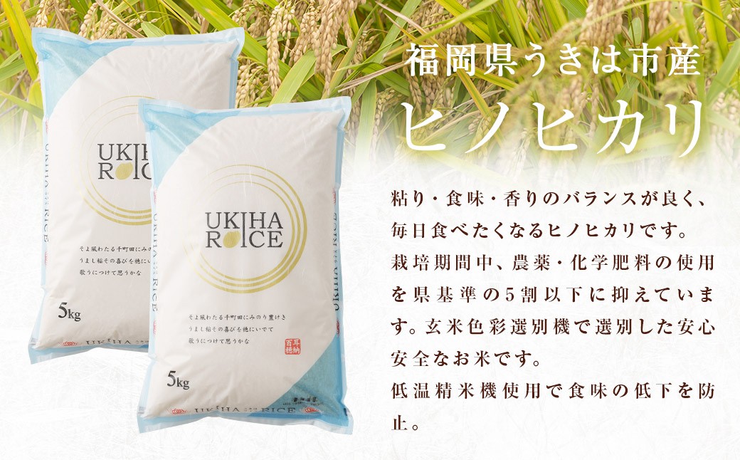 【6ヶ月定期便】みずほファーム UKIHA RICE (玄米5kg×6ヶ月)  【2025年11月より順次発送予定】 米 ヒノヒカリ お米 ご飯 うきは市