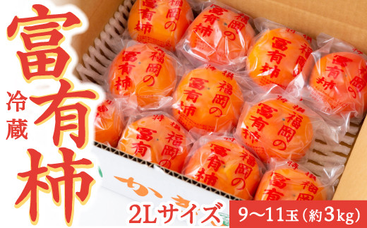 伊藤園 冷蔵富有柿 (2Lサイズ) 9玉から11玉 (約3kg) 2024年12月中旬から12月下旬 出荷予定