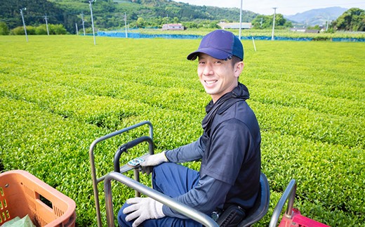  楠森堂 実生在来茶2種 (逸品煎茶80g)・(逸品ほうじ茶30g) セット