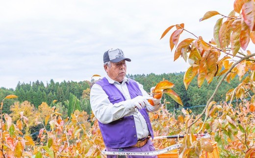 日永園 冷蔵富有柿 12玉から13玉(2Lから3Lサイズ) 【2025年12月下旬から2026年2月下旬出荷予定】 柿 フルーツ 果物
