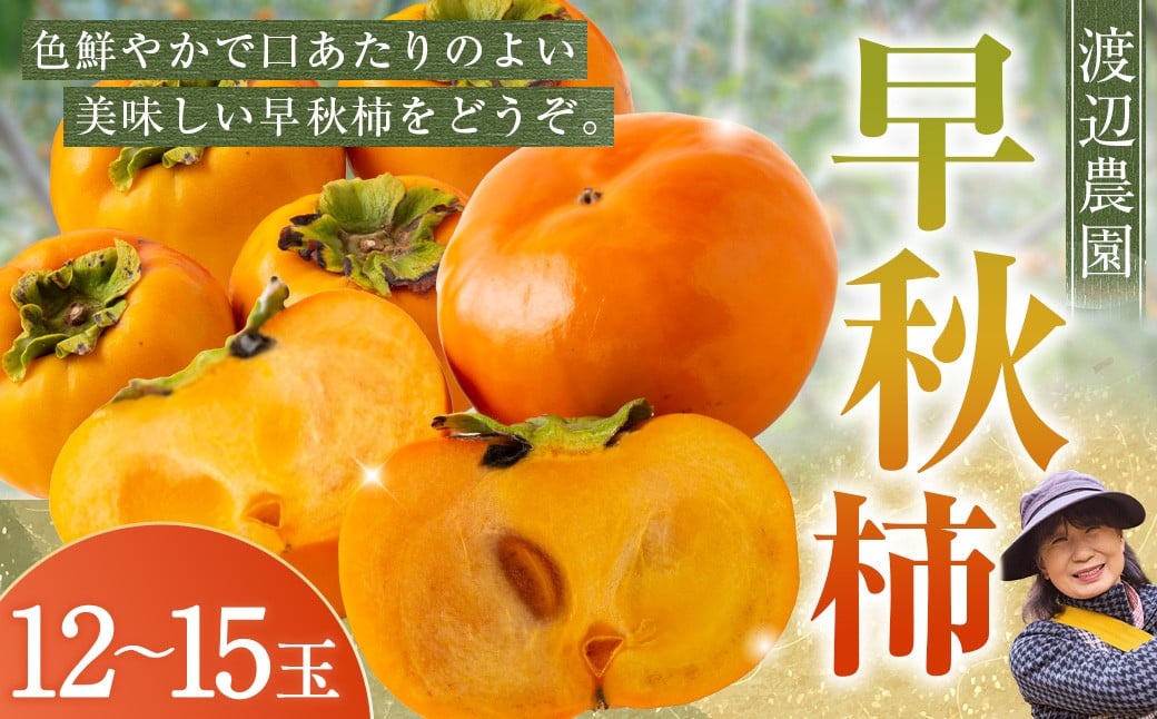 【先行予約】 渡辺農園 早秋柿 12玉から15玉 【2025年9月下旬から10月上旬 出荷予定】 柿 かき カキ 早秋 そうしゅう 果物 くだもの フルーツ 果実 ジューシー お取り寄せ 福岡県 うきは市