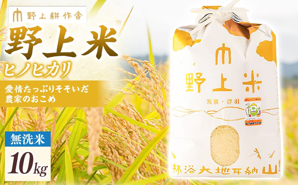 【2025年10月下旬より順次発送開始】野上耕作舎 野上米ヒノヒカリ 無洗米10kg ひのひかり 無洗米 米 お米 ご飯 国産 九州産 福岡県 うきは市