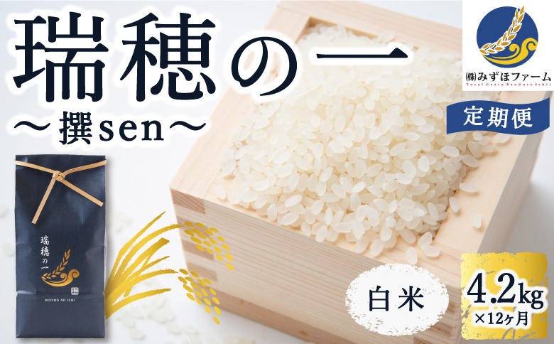 【定期便】みずほファーム 「瑞穂の一 〜撰sen〜」白米 4.2kg ×12カ月