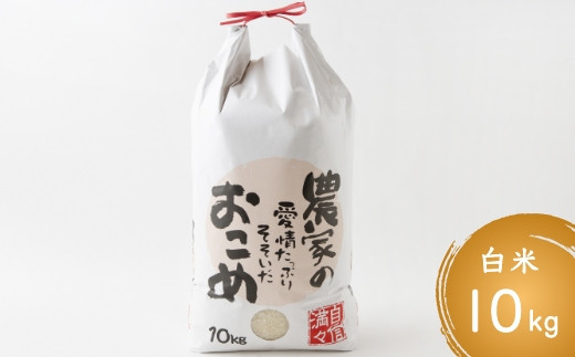 日永園 ヒノヒカリ 白米10kg