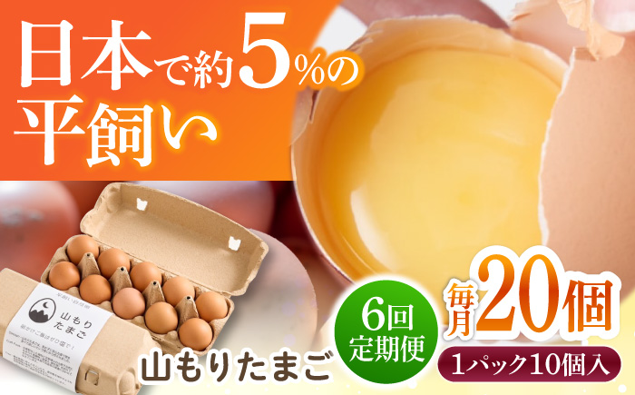 【6ヶ月定期便】平飼い 山もりたまご 20個 安心安全 おいしさに感動 たまご 卵 高級卵 平飼い 安心安全 飼料にこだわり 成長剤 ホルモン剤 添加物不使用 6回定期便
