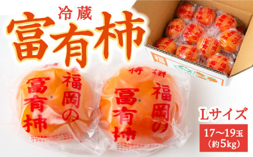 伊藤園 冷蔵富有柿 (Lサイズ) 17玉から19玉 (約5kg) 2024年12月中旬から12月下旬 出荷予定