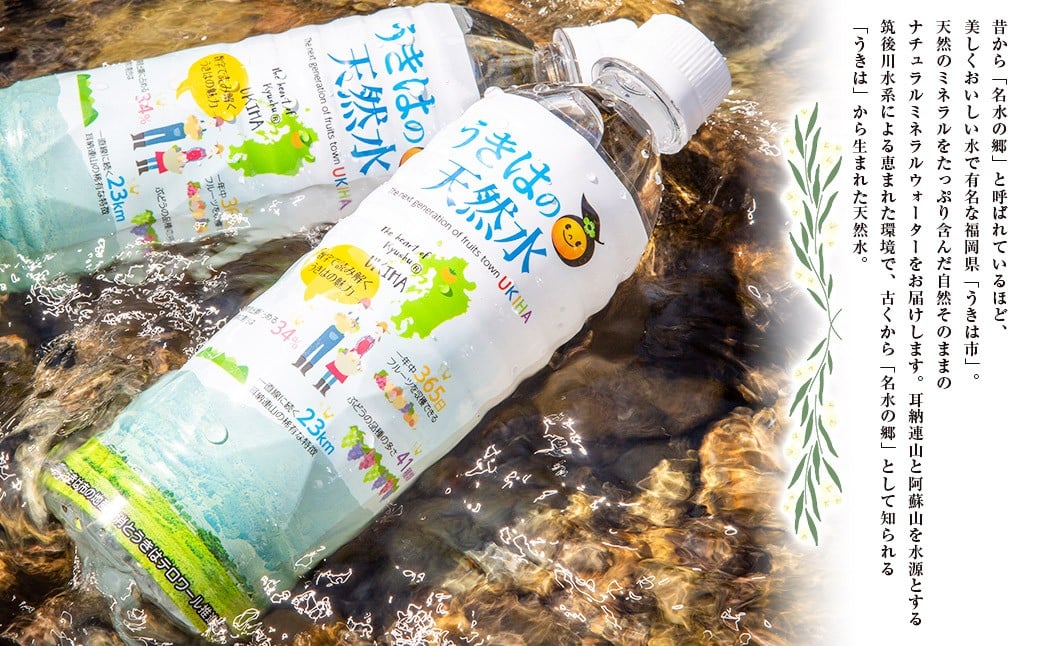 うきは名水 うきはの天然水 (500ml×24本入り) 2箱 ナチュラルミネラルウォーター