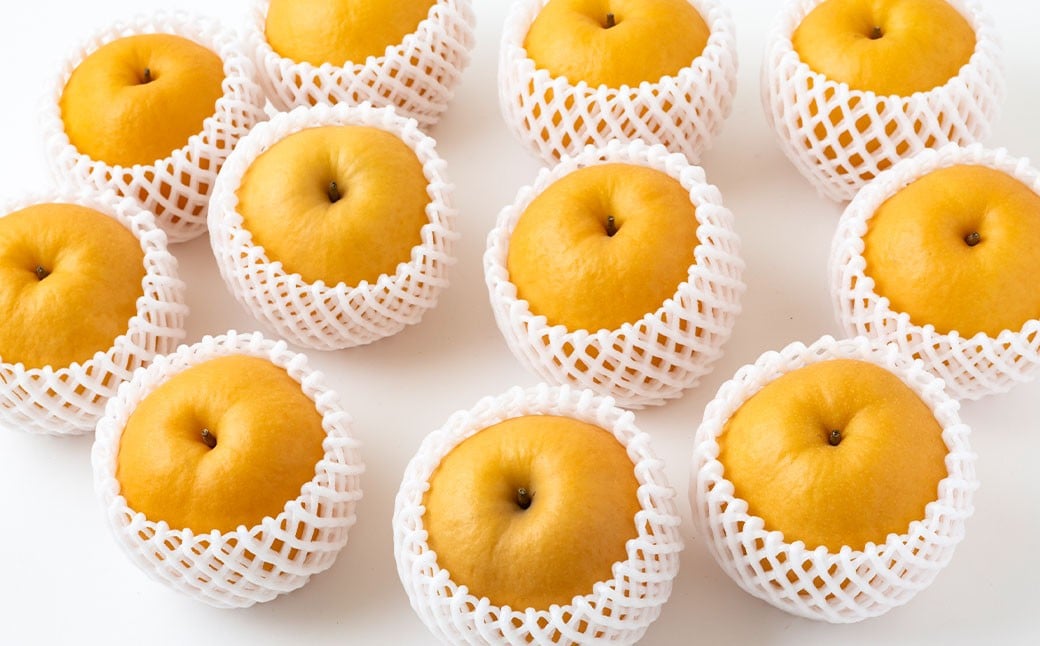 ãå
è¡äºçŽã 梚ã®å±±èæ¢šå æ°è梚 5çãã7çïŒçŽ2.5kgïŒã2026幎10æäžæ¬ã11æäžæ¬çºéäºå®ã 梚 ãªã ãã· æç© ãã ãã® ãã«ãŒã æå® ææ± 5ç 7ç