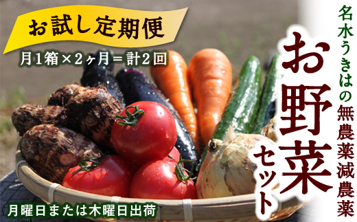 【お試し定期便】UIC 名水うきはの無農薬減農薬お野菜セット(1ヶ月1箱×2回)