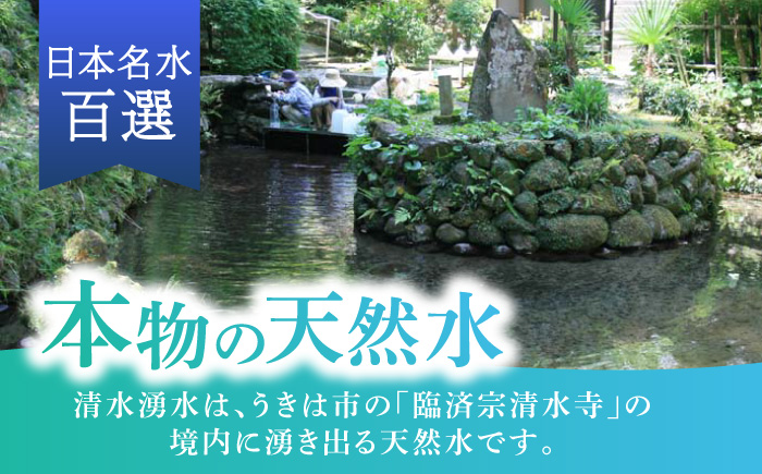 【12回定期便】赤ちゃんも安心して飲める 清水湧水 軟水 500ml 計24本 非加熱殺菌 ミネラルウォーター【株式会社清水】天然水の風味を損なわないよう非加熱殺菌 天然水 水 軟水 ペットボトル 500 500ml 定期便
