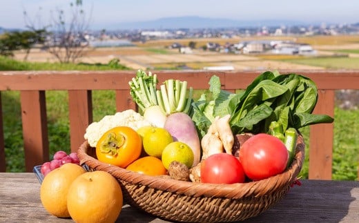 éã®é§
ãã㯠ããã§ããïŒïŒ ã®ãã ïŒæ°é®®ãªèŸ²ç£ç©ã»ç¹ç£å çŽ4.5kgïŒ éè ããžã¿ãã« æç© ãã ãã® ãã«ãŒã 蟲ç£ç© ç¹ç£å ç¹ç£ æ°é®® ãã¬ãã·ã¥ ææ¡ã è©°ãåãã è©°åã ã»ãã ããã¯ã¹ ãåãå¯ã çŠå²¡ç ããã¯åž