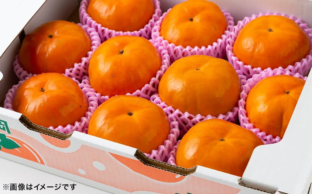 【先行予約】 渡辺農園 早秋柿 12玉から15玉 【2025年9月下旬から10月上旬 出荷予定】 柿 かき カキ 早秋 そうしゅう 果物 くだもの フルーツ 果実 ジューシー お取り寄せ 福岡県 うきは市