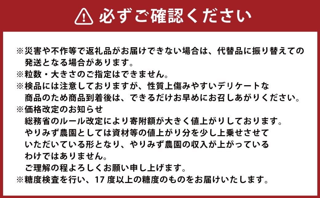 【先行予約】 やりみず農園 種なし 巨峰 2房から3房（約1kg） 【2026年8月上旬～下旬発送予定】 種なし巨峰 ぶどう ブドウ 葡萄 くだもの 果物 フルーツ 果実 福岡県 うきは市