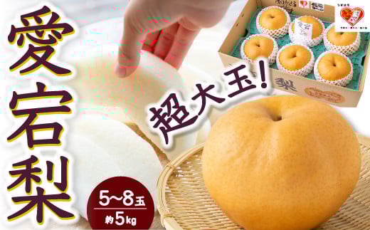 【先行予約】佐藤ファーム 愛宕梨 5玉から8玉(約5kg) 2025年11月上旬 出荷予定