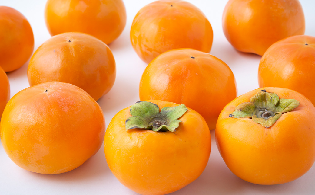 石井農園 乾し柿 70g入り×10個セット ドライフルーツ 柿 かき カキ 乾燥柿 富有柿 スイーツ お菓子 果物 フルーツ 福岡県 うきは市