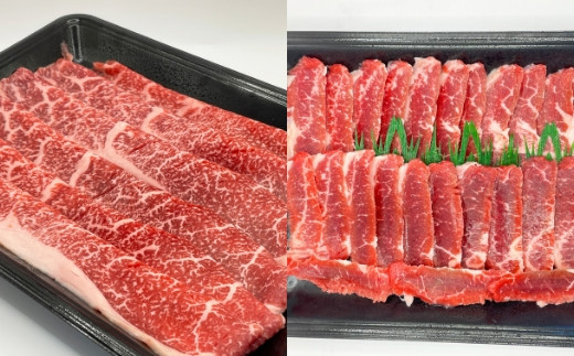 【定期便】博多和牛 うす切り肉と焼き肉用厚切りの毎月交互の12回お届け