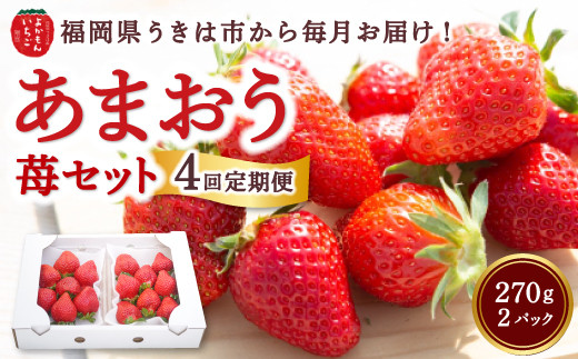 【4回定期便】よかもんいちご あまおう苺セット2パック 2025年1月から4月 毎月 お届け