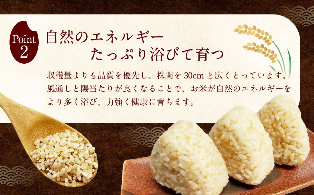 èªç¶æ œå¹ ã²ã®ã²ãã çç±³ 5kg ã2025幎10æäžæ¬ããçºéäºå®ã ç±³ ãç±³ ã飯 ããã¯åž