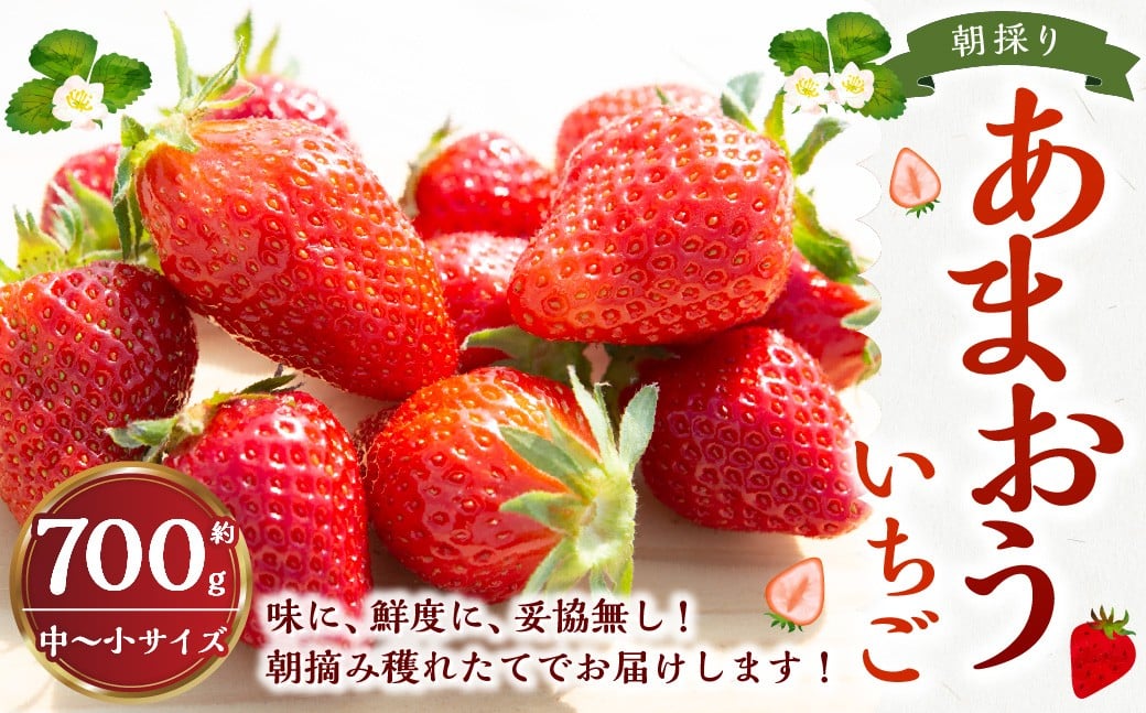 【4回定期便】 よかもんいちご 2品または3品種食べ比べセット 【2026年1月上旬～4月下旬 毎月出荷予定】 よかもん苺 苺 いちご イチゴ 果物 果実 フルーツ 食べ比べ セット 定期便 九州 福岡県 うきは市 冷蔵
