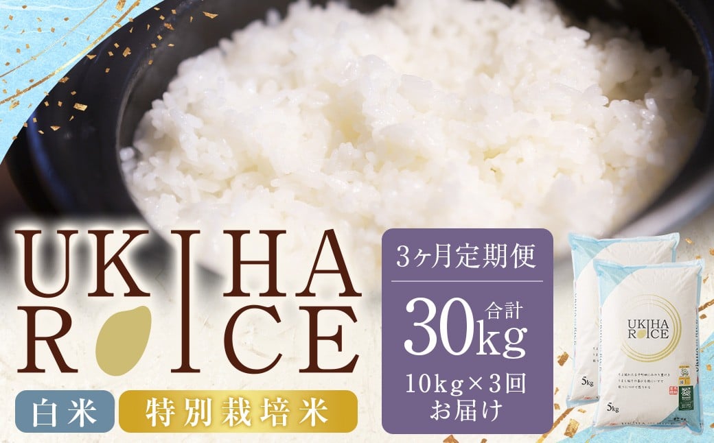 【3ヶ月定期便】 みずほファーム UKIHA RICE 白米 5kg✕2袋✕3回 （特別栽培米） 計30kg ヒノヒカリ ひのひかり 精米 米 こめ コメ お米 おこめ 白米 精米 ごはん ご飯 お中元 お歳暮 ギフト プレゼント 贈答品 定期便 おすすめ 国産