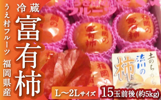 うえ村フルーツ 冷蔵富有柿 Lから２Lサイズ 15玉前後 (約5kg) 2024年12月中旬から12月下旬 出荷予定