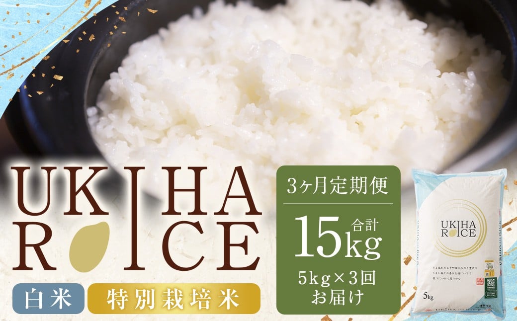 【3ヶ月定期便】 みずほファーム UKIHA RICE 白米 5kg✕3回 （特別栽培米） 計15kg ヒノヒカリ ひのひかり 精米 米 こめ コメ お米 おこめ 白米 精米 ごはん ご飯 お中元 お歳暮 ギフト プレゼント 贈答品 定期便 おすすめ 国産