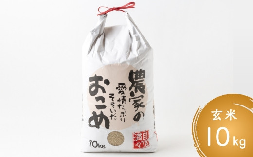 日永園 ヒノヒカリ 玄米10kg