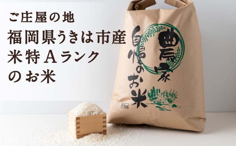 【特Aランク米】五庄屋の地で作ったお米 ひのひかり 白米 (4.5kg)【Go庄屋合同会社】ヒノヒカリ こめ コメ ごはん ご飯 福岡県うきは市産 九州産