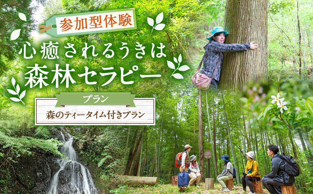 【参加型体験】うきは市森林セラピー （森のティータイム付き） 2名様 ／ 癒やし 森 リフレッシュ ハーブティー ティータイム うきは市