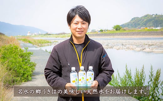 うきは名水 うきはの天然水 (500ml×24本入り) 2箱 ナチュラルミネラルウォーター