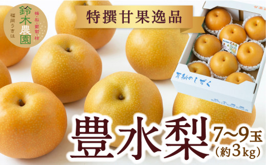 [先行予約]鈴木農園 特撰甘果逸品 豊水梨 7玉から9玉 (約3kg) 2025年8月下旬から9月中旬 出荷予定