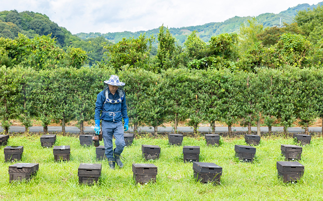 樋口養蜂場 国産百花はちみつ 600g　ハニー 蜂蜜 ハチミツ