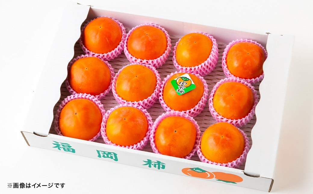 【先行予約】渡辺農園 富有柿 12玉前後 2025年11月中旬から12月上旬 出荷予定