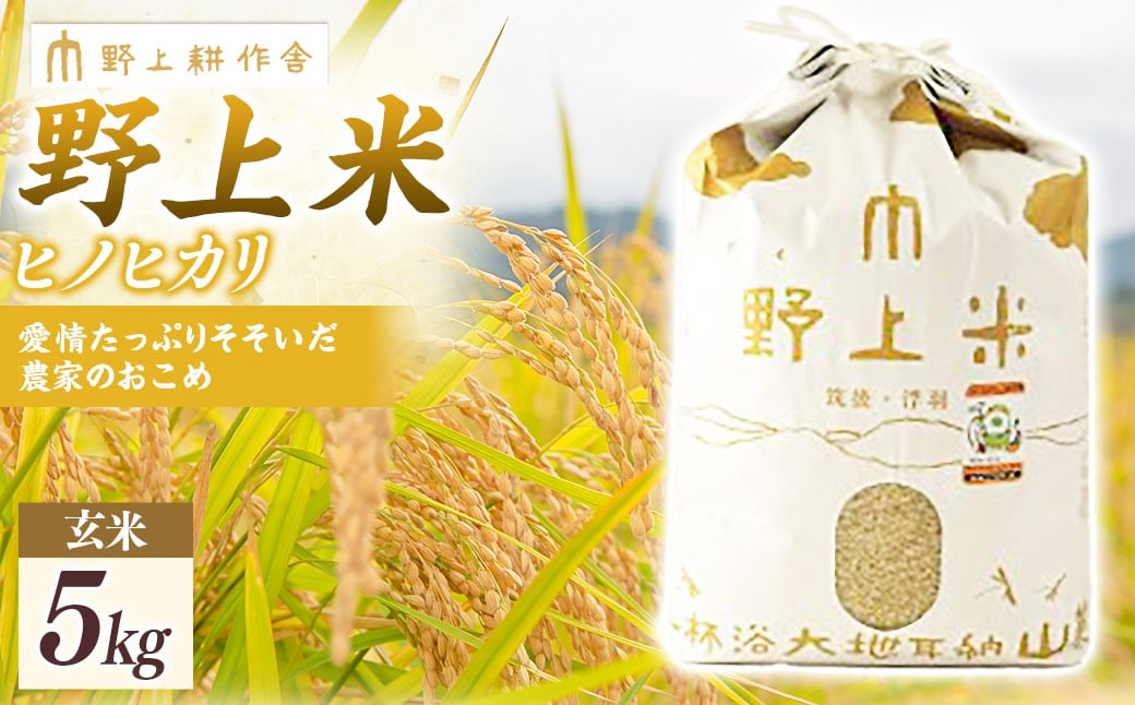 【2025年10月下旬より順次発送開始】野上耕作舎 野上米ヒノヒカリ 玄米5kg ひのひかり 玄米 米 お米 ご飯 国産 九州産 福岡県 うきは市