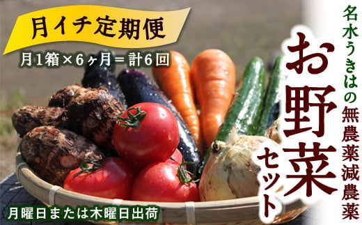 【月イチ定期便】UIC 名水うきはの無農薬減農薬お野菜セット (ひと月1箱×半年間=計6回)