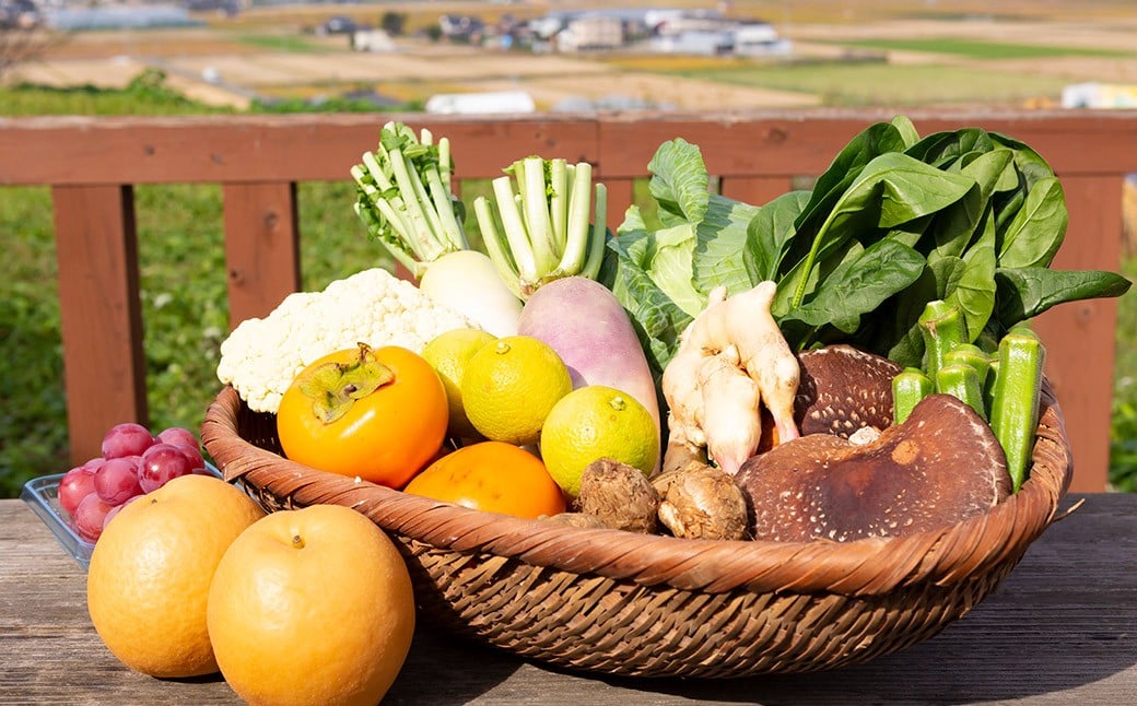 éã®é§
ãã㯠ããã§ããïŒïŒ ã®ãã ïŒæ°é®®ãªèŸ²ç£ç©ã»ç¹ç£å çŽ4.5kgïŒ éè ããžã¿ãã« æç© ãã ãã® ãã«ãŒã 蟲ç£ç© ç¹ç£å ç¹ç£ æ°é®® ãã¬ãã·ã¥ ææ¡ã è©°ãåãã è©°åã ã»ãã ããã¯ã¹ ãåãå¯ã çŠå²¡ç ããã¯åž