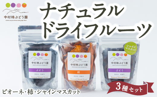 中村柿ぶどう園 ナチュラルドライフルーツ3種セット(ピオーネ・柿・シャインマスカット) 2024年8月から順次お届け