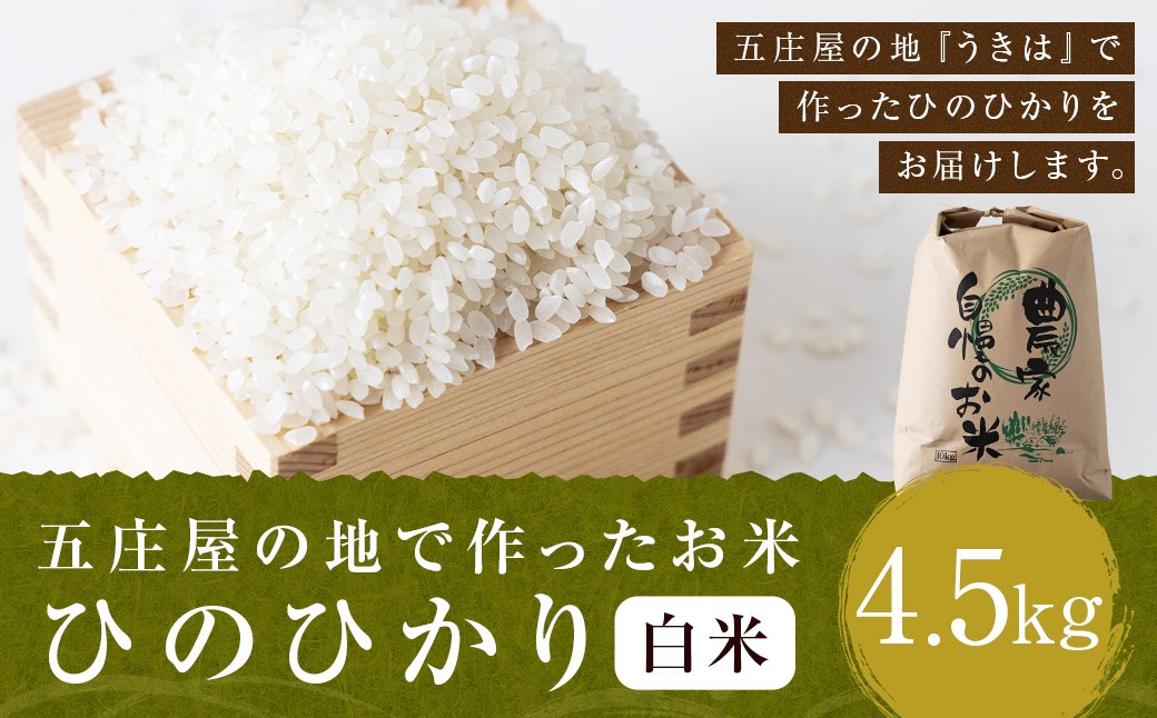 【特Aランク米】五庄屋の地で作ったお米 ひのひかり 白米 (4.5kg) 【2025年10月下旬より順次発送予定】 ヒノヒカリ こめ コメ ごはん ご飯 福岡県うきは市産 九州産