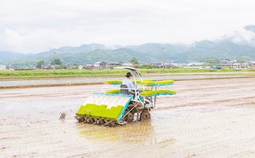 【2025年10月下旬より順次発送開始】野上耕作舎 野上米ヒノヒカリ 玄米30kg ひのひかり 玄米 米 お米 ご飯 国産 九州産 福岡県 うきは市
