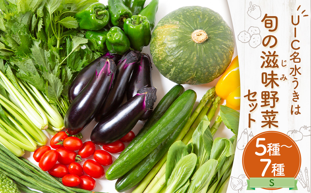 UIC名水うきは 旬の滋味（じみ）野菜セットS