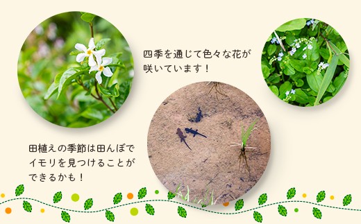 【参加型体験】リフレッシュ＆デトックス〜心癒されるうきは 森林セラピー〜