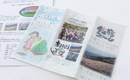 【先行予約】佐藤ファーム 愛宕梨 5玉から8玉(約5kg) 2025年11月上旬 出荷予定