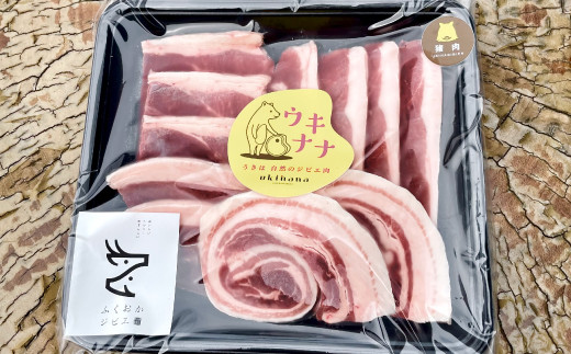 【ジビエ】天然猪肉BBQカット 300g×2パック 2024年11月から2025年4月 出荷予定