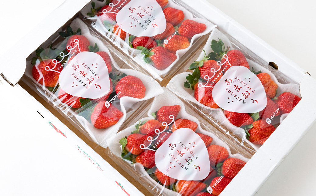 Green's 「いちごの王様」目指す福岡県産あまおう 250g×4パック 4月分 あまおう いちご イチゴ 苺 フルーツ 果物 冷蔵 送料無料 福岡県 うきは市 【2026年4月上旬〜4月中旬より順次発送予定】